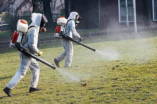 Община Първомай уведомява всички пчелари и граждани за предстоящо третиране срещу тополов листояд