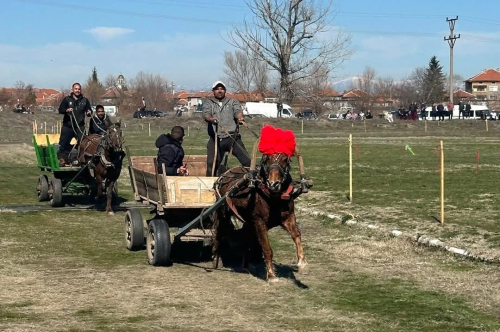 Конни надбягвания на Тодоровден в кв.Дебър